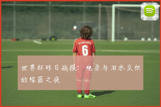 世界杯昨日战报：绝杀与泪水交织的绿茵之夜