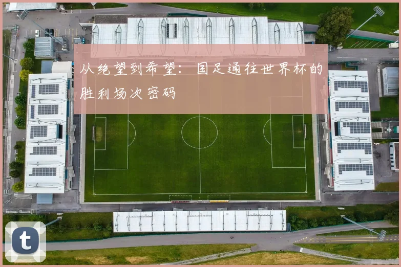 从绝望到希望:国足通往世界杯的胜利场次密码