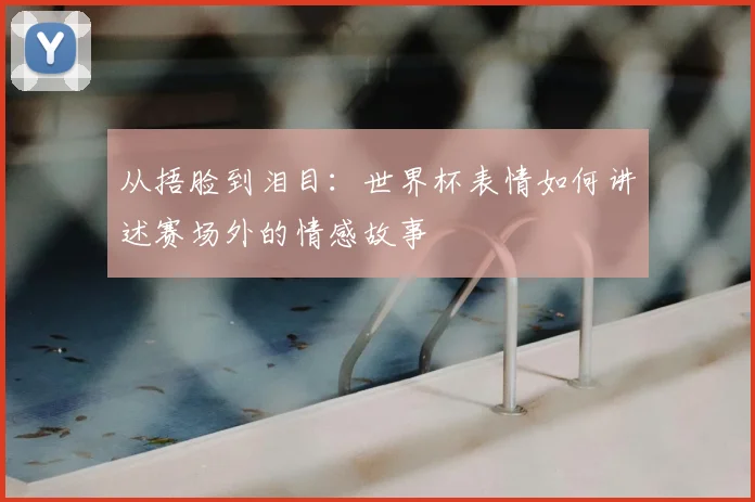 从捂脸到泪目：世界杯表情如何讲述赛场外的情感故事