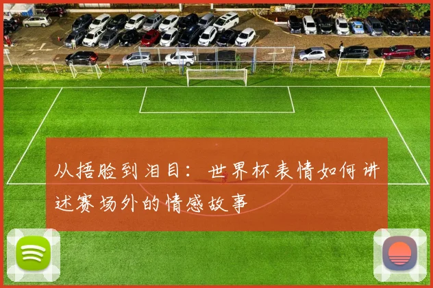 从捂脸到泪目：世界杯表情如何讲述赛场外的情感故事